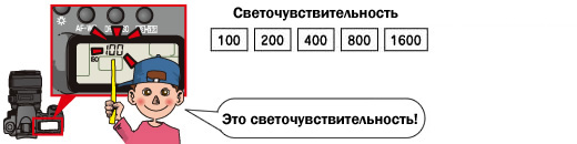 Светочувствительность, ISO Светочувствительность, ISO