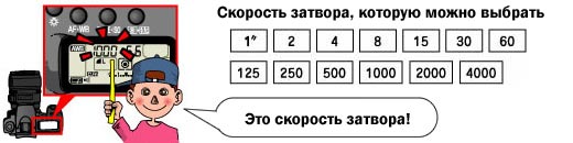 Выдержка Выдержка