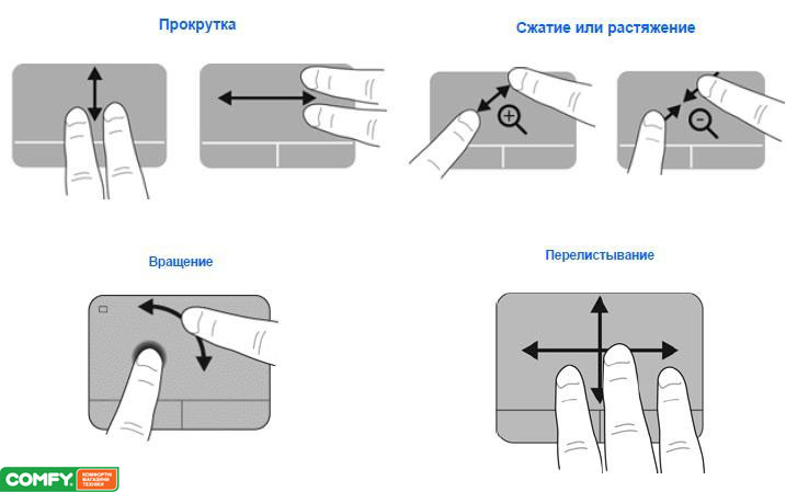 управляющие элементы тачпада
